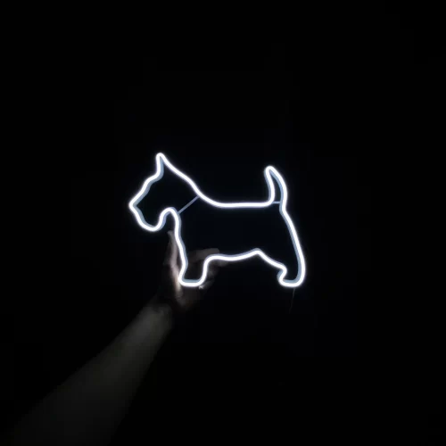 Schnauzer neon