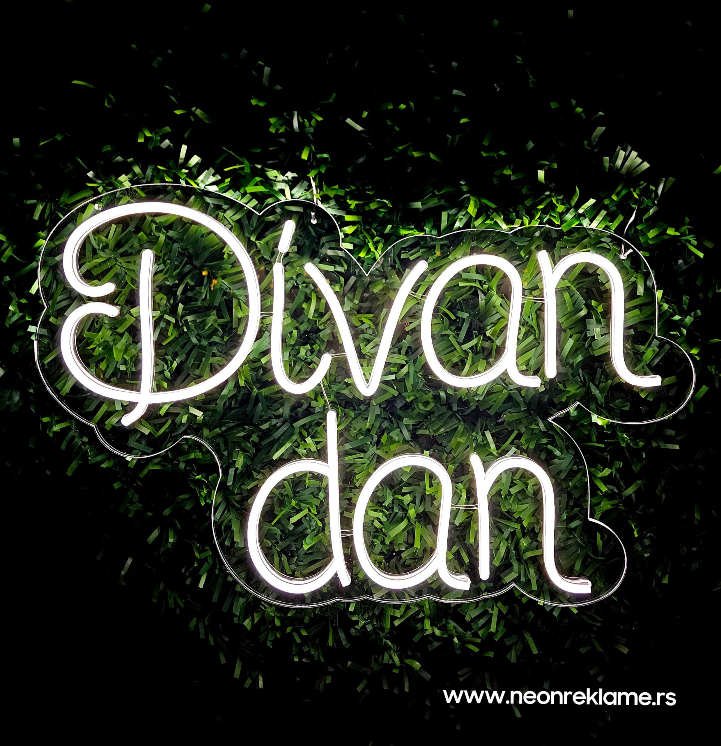 Neon Divan dan